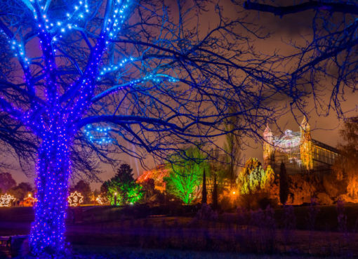 Weihnachten im Botanischen Garten