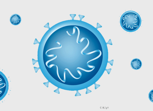 Coronavirus 2019-nCoV