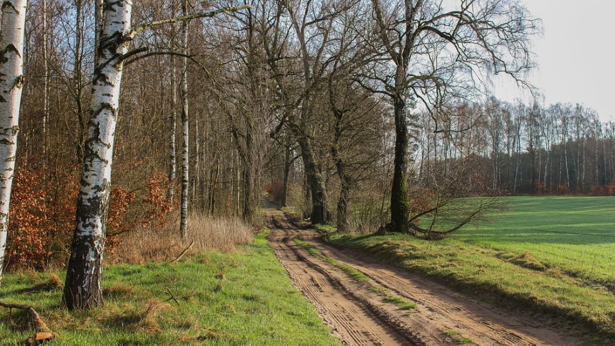 Weg am Waldrand