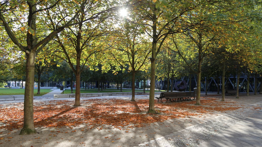 Herbstsonne im Besselpark