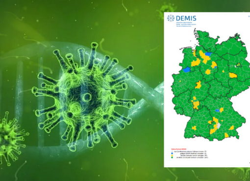 Visualisierung des Coronavirus