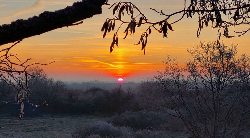 Sonnenaufgang Marienfelde