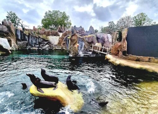 Feuerland - Neue Erlebniswelt im Leipziger Zoo