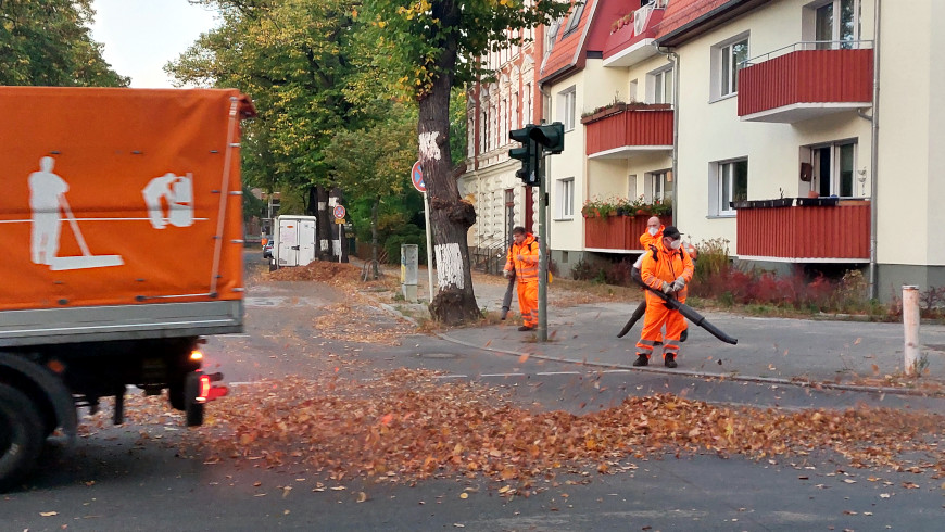 BSR-Laubbläser im Einsatz